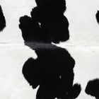 files/9199_b_0d217baa-d0ae-4eec-8342-d0e88d6579e2.jpg