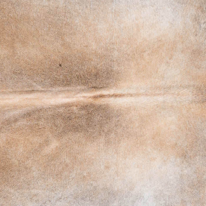 Brazilian Grey Palomino Cowhide Rug Size 7'11" L x 7'2" W 6192