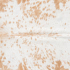 files/9210_b_39d367f4-fc1a-4b2e-a457-922c62ec26b3.jpg
