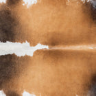 files/9215_b_e47f9900-a4b3-4e44-8151-818472ef5c01.jpg