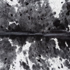 files/9218_b_e2c1f0e7-aa90-43c6-83e3-6f40f018cdae.jpg