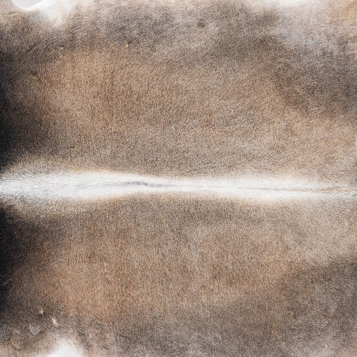 Brazilian Grey Palomino Cowhide Rug Size 8'2" L x 7'0" W 9226