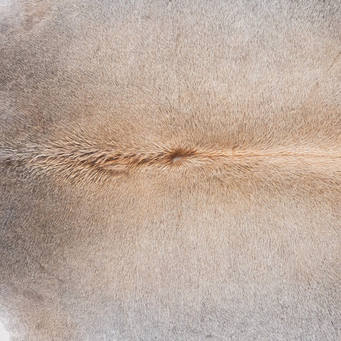 Brazilian Grey Palomino Cowhide Rug Size 7'5" L x 6'7" W 9254