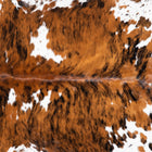 files/9269_b_1b3c5f0a-7a08-4f5f-b71d-7bf8e0affc3e.jpg