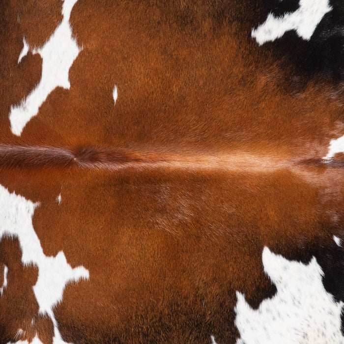 Brazilian Chocolate and White Cowhide Rug Size 6'5" L x 6'9" W 9271