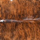 files/9286_b_aac5fce5-f07f-4fc7-9e6f-a954150c3032.jpg