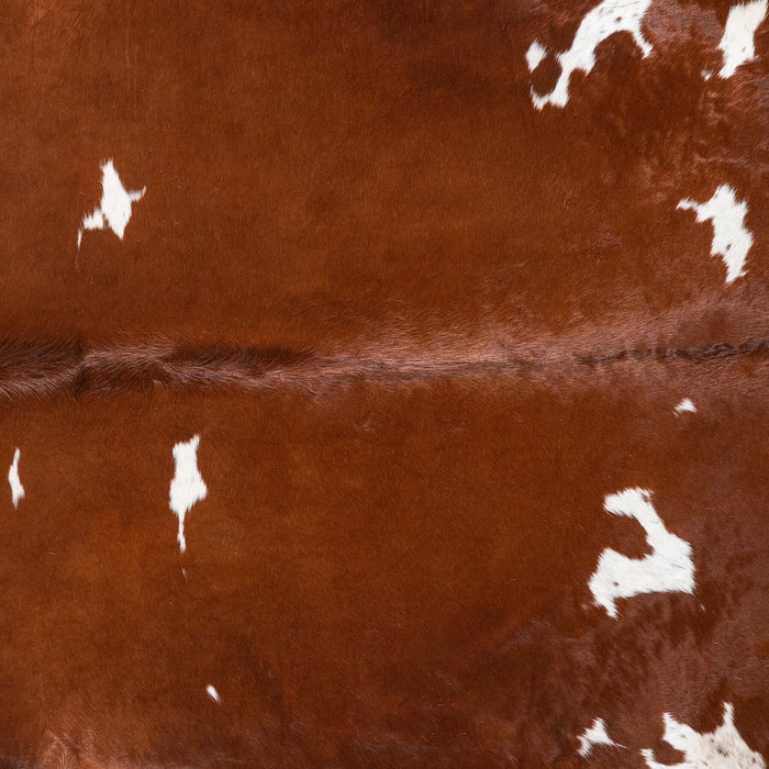Brown and White Cowhide Rug Size 8'2" L x 7'8" W 9297