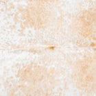 files/9309_b_d207f775-5e89-48b4-8011-f3cb8b51d36d.jpg