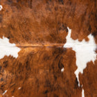 files/9347_b_80b4b1d9-32b7-4a59-8c45-72fae969d842.jpg