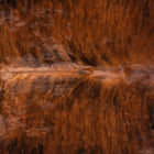 files/9380_b_7ac3e7ec-72a7-448b-961a-d2d7b38fcc5a.jpg