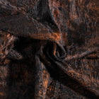 files/9420_c_686bf6f8-9754-42a0-8ff5-1c8429dc7f6e.jpg