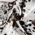 files/9452_c_f34c7859-7b9a-48c9-aeef-44265b224ca6.jpg