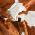 files/9462_c_e874d18e-3c59-45d8-9ab4-8dbc4f09b3ba.jpg