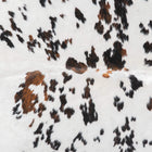 files/9478_b_f4e0b16d-6614-4c3a-a0a0-91c254357478.jpg