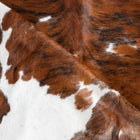 files/9508_d_743d7a23-e509-4c8f-b718-f91470dd6e4d.jpg