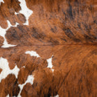 files/9510_c_51e4594d-a0be-4a92-b43e-6b8ca8c0c3dd.jpg