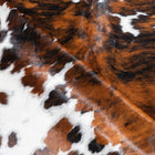 files/9520_d_a67ba39d-643c-4d24-bd39-2a76103beb2e.jpg