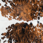 files/9523_c_b2e0c7a0-c12f-4b46-bb85-17450d9ee330.jpg