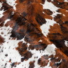 files/9527_d_fd06f138-e033-4c76-afaa-0a29e619c128.jpg