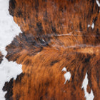 files/9528_c_8b0001b9-f2fc-42f6-bfd2-5e7718de6f94.jpg