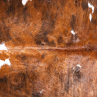 files/9530_c_9e0577dd-23a0-4ce3-a94a-572466cb8ad0.jpg