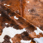 files/9530_d_90601004-3571-42c0-9c64-17440b055f26.jpg