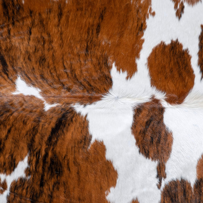 Tricolor Brindle Mix Cowhide Rug Size 7'5" L x 7'1" W 9531