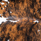 files/9533_c_cffecb5c-560f-4d6c-9f3d-4f9d96fd8472.jpg