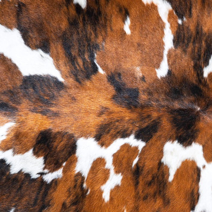 Tricolor Cowhide Rug Size 7'5" L x 7'3" W 9537