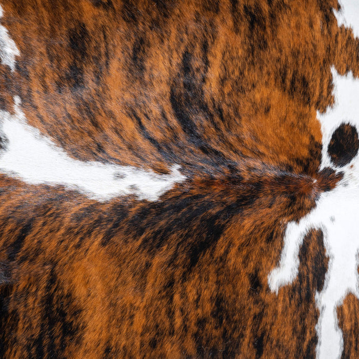 Tricolor Brindle Mix Cowhide Rug Size 8'3" L x 7'0" W 9539