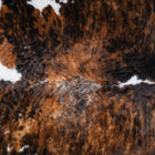files/9541_c_9b7e2f16-ec3e-4af6-96b5-217bd4bcb54e.jpg