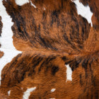 files/9545_c_0d1053e1-0545-4e6b-b9bc-bf8b35730ec3.jpg