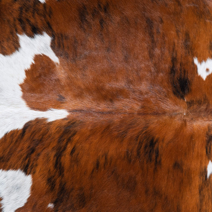 Tricolor Brindle Mix Cowhide Rug Size 6'10" L x 6'1" W 9549
