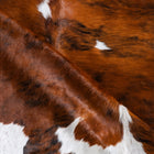 files/9549_d_d7885b02-4c55-4d44-a236-1c9bf68eed5f.jpg