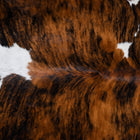 files/9550_c_11f3fbbb-b66e-4c41-9c9a-d011a35f160d.jpg