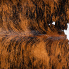 files/9558_c_dbc71245-6f0c-44df-975f-342c9e9fcd3b.jpg