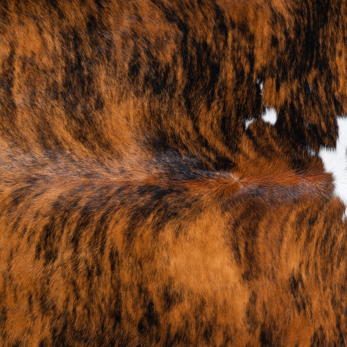 Tricolor Brindle Mix Cowhide Rug Size 6'9" L x 6'3" W 9558