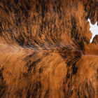 files/9562_c_3d5e4f77-7c67-4041-9751-d7a7086df8c0.jpg