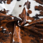 files/9563_b_2e6ffe70-601e-46ac-83c2-bb940d9c9800.jpg