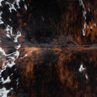 files/9564_c_88a721d8-0b40-49bc-8f93-d19e90c1623a.jpg