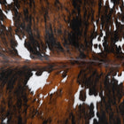files/9565_c_0e06a8ce-d19c-4728-9c9a-2761429b31b9.jpg