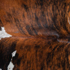 files/9574_c_dfb3dc8e-f5e1-4161-8c88-4d66a9a639ed.jpg