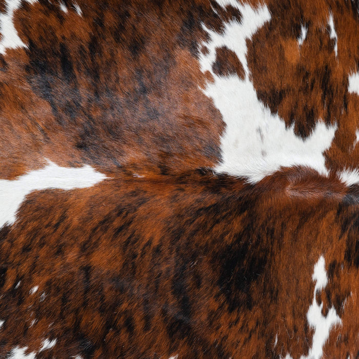 Tricolor Cowhide Rug Size 7'4" L x 7'1" W 9599