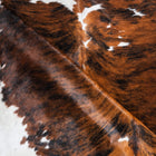 files/9605_d_45265597-f973-41c4-b308-f139009f0b64.jpg