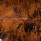 files/9617_c_384ac579-9456-4a20-93f1-c0b9a8d1d208.jpg