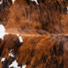 files/9618_c_819d0b8f-d445-4264-ab05-1a8ab87acd3e.jpg