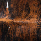 files/9625_c_e2df940f-db3e-4986-a7c8-76e9d8159e47.jpg