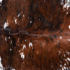 files/9629_c_1b175f31-3006-435e-b66f-459d8b3c5245.jpg