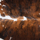 files/9638_c_de8ace91-af9c-4dbe-a170-7f4acb9e2eec.jpg