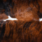 files/9647_c_0615f504-0e74-4d0e-81f8-a4a04941328d.jpg
